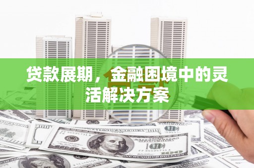 浦东贷款展期，金融困境中的灵活解决方案