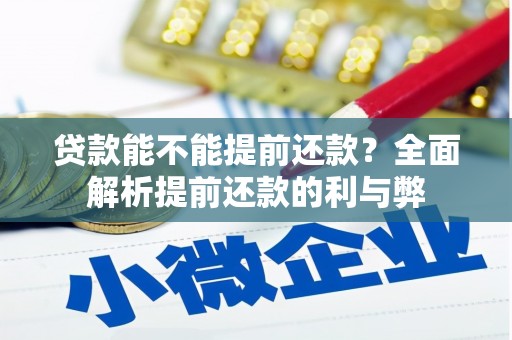 浦东贷款能不能提前还款？全面解析提前还款的利与弊