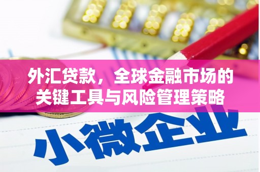 浦东外汇贷款，全球金融市场的关键工具与风险管理策略