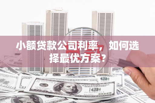 浦东小额贷款公司利率，如何选择最优方案？