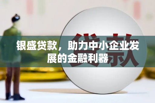 浦东银盛贷款，助力中小企业发展的金融利器