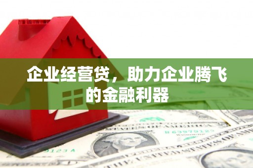浦东企业经营贷，助力企业腾飞的金融利器