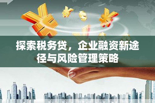 浦东探索税务贷，企业融资新途径与风险管理策略