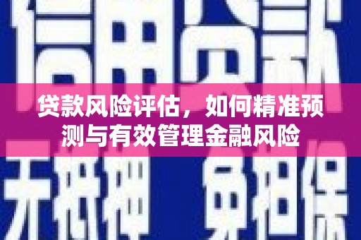 浦东贷款风险评估，如何精准预测与有效管理金融风险