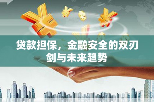 浦东贷款担保，金融安全的双刃剑与未来趋势