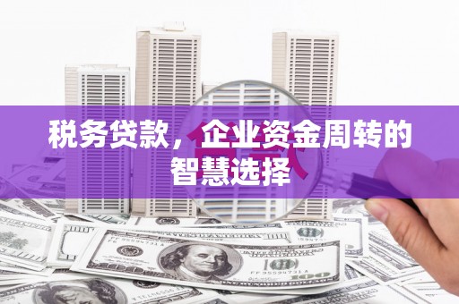 浦东税务贷款，企业资金周转的智慧选择
