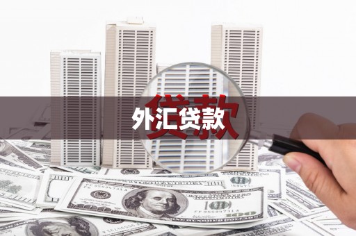 浦东外汇贷款
