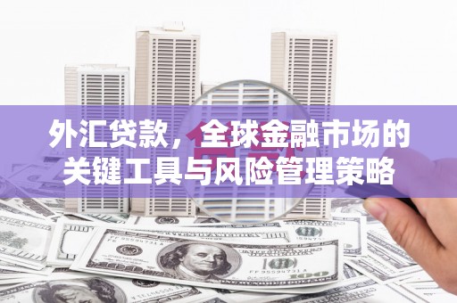 浦东外汇贷款，全球金融市场的关键工具与风险管理策略