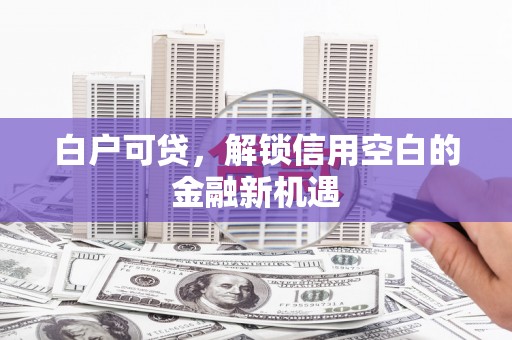 浦东白户可贷，解锁信用空白的金融新机遇
