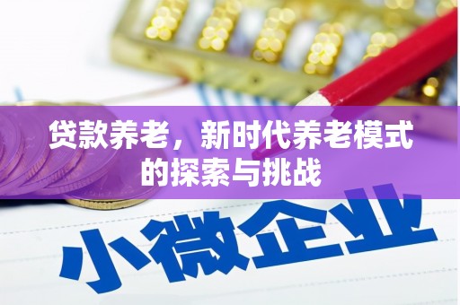 浦东贷款养老，新时代养老模式的探索与挑战
