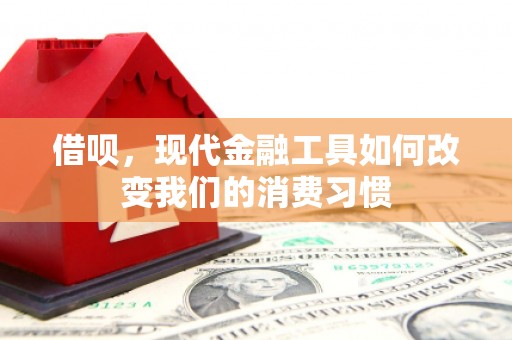 浦东借呗，现代金融工具如何改变我们的消费习惯