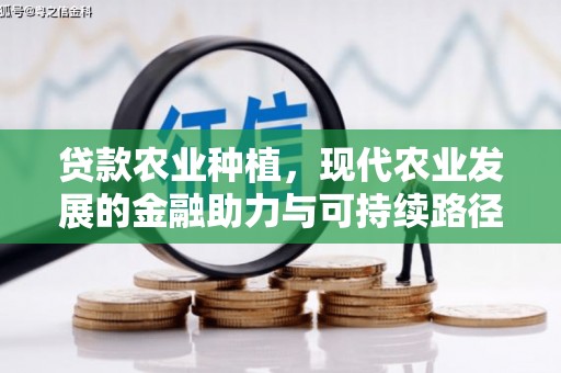 浦东贷款农业种植，现代农业发展的金融助力与可持续路径