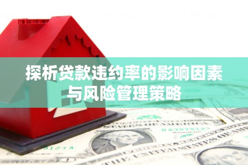 浦东探析贷款违约率的影响因素与风险管理策略