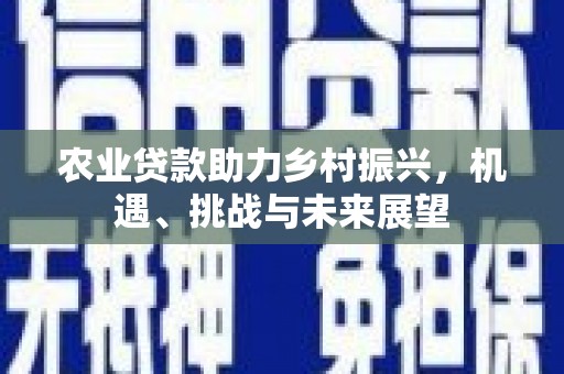 浦东农业贷款助力乡村振兴，机遇、挑战与未来展望