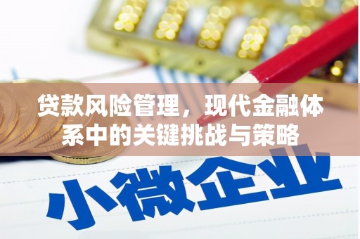 浦东贷款风险管理，现代金融体系中的关键挑战与策略