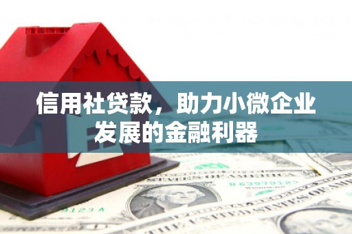 浦东信用社贷款，助力小微企业发展的金融利器