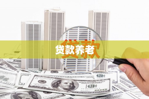 浦东贷款养老