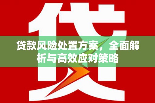 浦东贷款风险处置方案，全面解析与高效应对策略