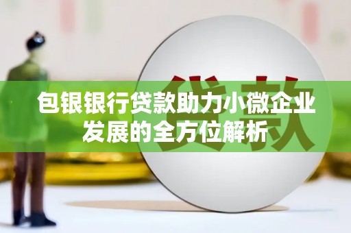 浦东包银银行贷款助力小微企业发展的全方位解析