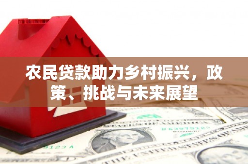 浦东农民贷款助力乡村振兴，政策、挑战与未来展望