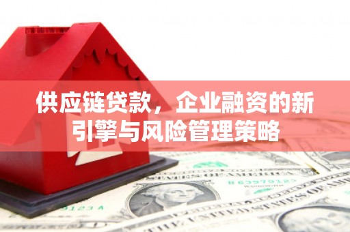 浦东供应链贷款，企业融资的新引擎与风险管理策略