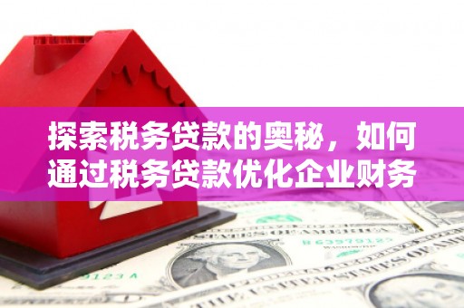 浦东探索税务贷款的奥秘，如何通过税务贷款优化企业财务