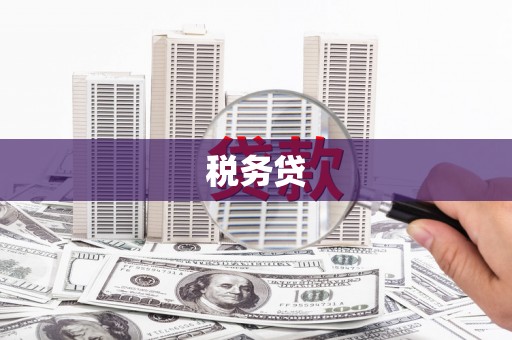 浦东税务贷