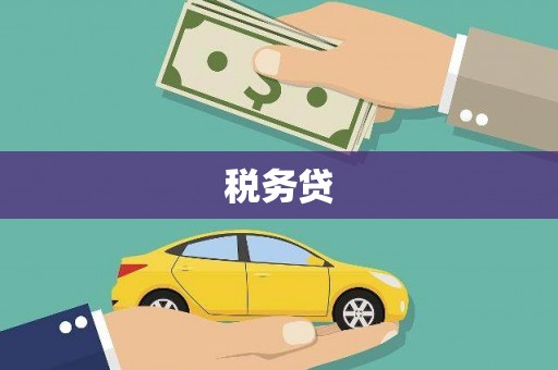 浦东税务贷