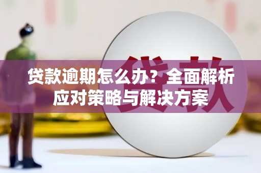浦东贷款逾期怎么办？全面解析应对策略与解决方案