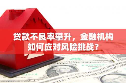 浦东贷款不良率攀升，金融机构如何应对风险挑战？
