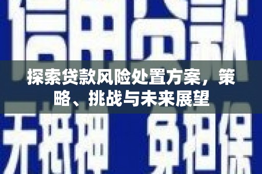 浦东探索贷款风险处置方案，策略、挑战与未来展望