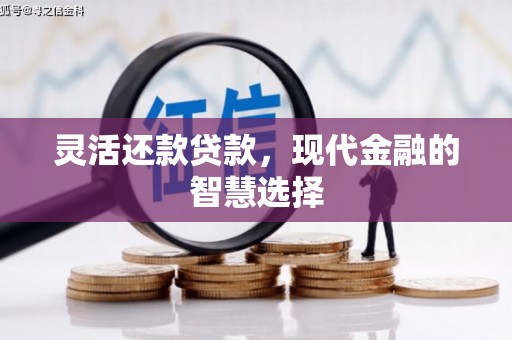 浦东灵活还款贷款，现代金融的智慧选择