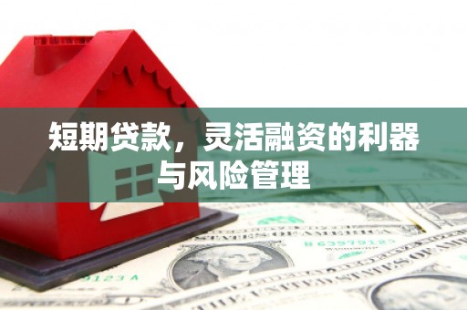 浦东短期贷款，灵活融资的利器与风险管理