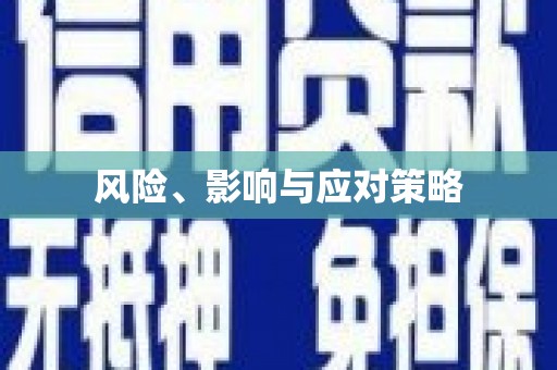 浦东风险、影响与应对策略