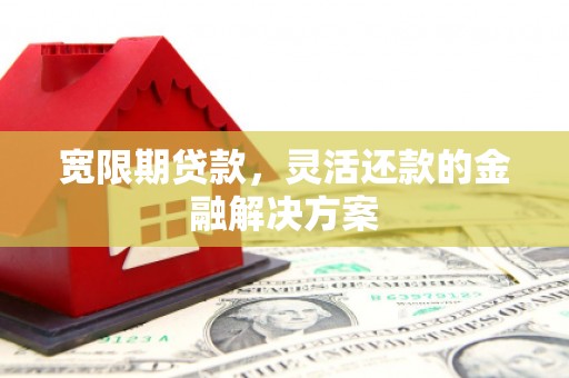 浦东宽限期贷款，灵活还款的金融解决方案