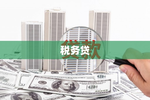 浦东税务贷