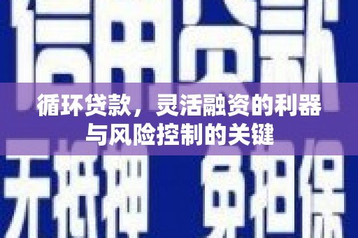 浦东循环贷款，灵活融资的利器与风险控制的关键
