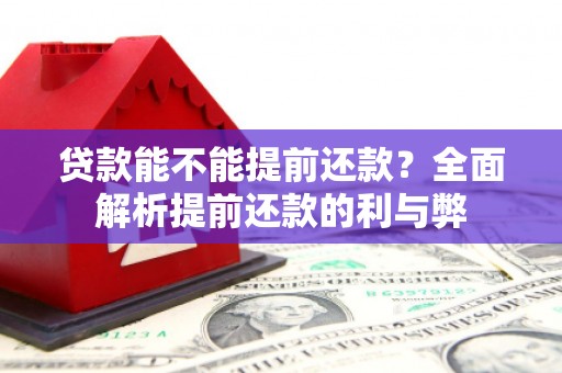 浦东贷款能不能提前还款？全面解析提前还款的利与弊