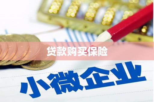 浦东贷款购买保险