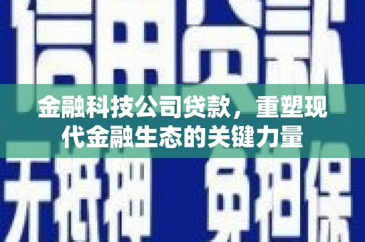 浦东金融科技公司贷款，重塑现代金融生态的关键力量