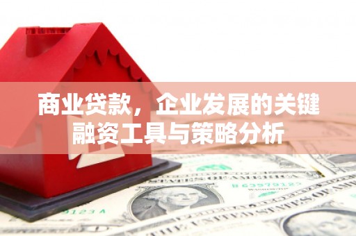 浦东商业贷款，企业发展的关键融资工具与策略分析