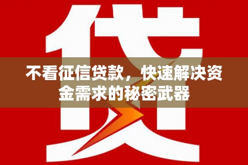 浦东不看征信贷款，快速解决资金需求的秘密武器