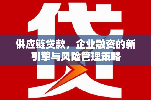 浦东供应链贷款，企业融资的新引擎与风险管理策略