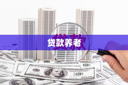 浦东贷款养老