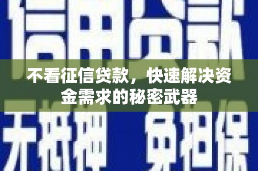浦东不看征信贷款，快速解决资金需求的秘密武器