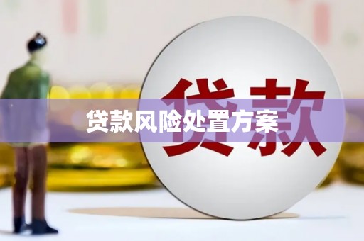 浦东贷款风险处置方案