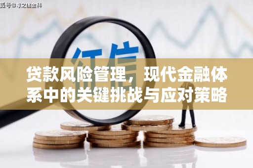 浦东贷款风险管理，现代金融体系中的关键挑战与应对策略