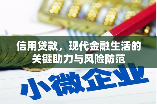 浦东信用贷款，现代金融生活的关键助力与风险防范