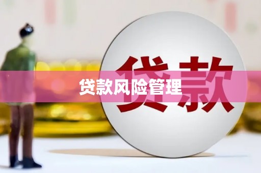 浦东贷款风险管理