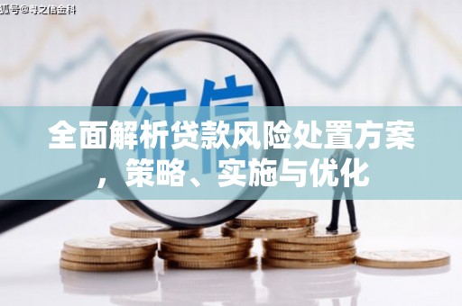浦东全面解析贷款风险处置方案，策略、实施与优化